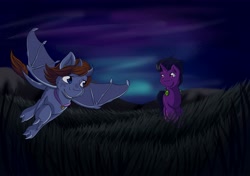Size: 4928x3462 | Tagged: safe, artist:melodis, imported from derpibooru, oc, oc only, oc:jimmy chap, oc:raven eve'hart, dracony, hybrid, pony, unicorn, female, field, flying, male, night, ravenchap, running, stallion