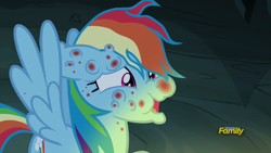 Size: 1920x1080 | Tagged: safe, imported from derpibooru, screencap, rainbow dash, pegasus, pony, campfire tales, bite mark, cave, discovery family logo, faic, female, fly-der bite, mare, nightmare fuel, open mouth, ouch, rainbow dash is best facemaker, solo