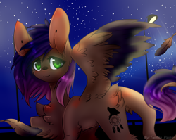 Size: 1128x900 | Tagged: safe, artist:twinkepaint, imported from derpibooru, oc, oc only, oc:evening howler, pegasus, pony, female, gift art, green eyes, leonine tail, mare, night, smiling, solo, starry night, stars