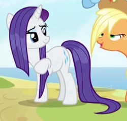 Size: 524x503 | Tagged: safe, imported from derpibooru, screencap, applejack, rarity, pony, campfire tales, cropped, wet, wet mane, wet mane rarity