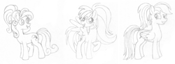 Size: 1210x444 | Tagged: safe, artist:kaylearae, imported from derpibooru, rainbow dash, pony, alternate cutie mark, alternate hairstyle, monochrome, self ponidox, sketch, traditional art, trio