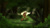 Size: 6400x3600 | Tagged: safe, artist:theravencriss, imported from derpibooru, tree hugger, pony, atg 2017, female, forest, meditating, newbie artist training grounds, solo