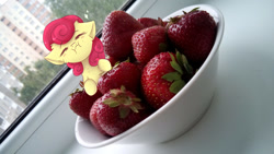 Size: 1280x720 | Tagged: safe, artist:tavifly, imported from derpibooru, strawberry sunrise, pony, honest apple, bowl, eyes closed, food, irl, photo, ponies in real life, solo, strawberry, tiny ponies