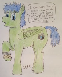 Size: 1139x1403 | Tagged: safe, artist:rapidsnap, imported from derpibooru, oc, oc only, oc:rapidsnap, pony, bandage, injured, solo, traditional art