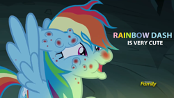 Size: 1920x1080 | Tagged: safe, imported from derpibooru, rainbow dash, pony, campfire tales, female, fly-der bite, solo