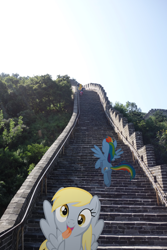 Size: 3648x5472 | Tagged: safe, artist:eflyjason, imported from derpibooru, applejack, derpy hooves, rainbow dash, pony, beijing, china, great wall of china, irl, photo, ponies in real life