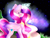 Size: 4000x3000 | Tagged: safe, artist:doux-ameri, imported from derpibooru, princess cadance, pony, female, high res, magic, night, solo