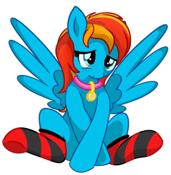 Size: 1827x1877 | Tagged: safe, artist:x-blackpearl-x, imported from derpibooru, oc, oc only, oc:sea feather, oc:seafeather, pegasus, pony, clothes, collar, female, shy, simple background, socks, solo, spread wings, striped socks, transparent background, wingboner, wings