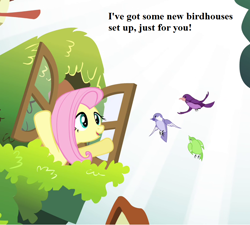 Size: 800x720 | Tagged: safe, edit, edited screencap, imported from derpibooru, screencap, fluttershy, pegasus, pony, filli vanilli, chickadee (bird), cropped, female, fluttershy's cottage, mare, solo, swallow (bird), text, window