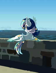 Size: 1292x1684 | Tagged: safe, artist:owlity, imported from derpibooru, oc, oc only, oc:wistful galaxy, bat pony, pony, ocean, solo, wall