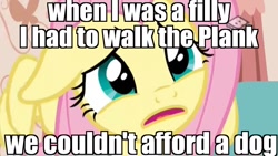 Size: 1280x720 | Tagged: safe, edit, edited screencap, imported from derpibooru, screencap, fluttershy, pony, discordant harmony, bait and switch, boomerang (tv channel), cute, female, floppy ears, image macro, meme, paraprosdokian, sad, shyabetes, solo
