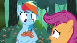 Size: 1920x1080 | Tagged: safe, imported from derpibooru, screencap, rainbow dash, scootaloo, pony, campfire tales, berries, berry