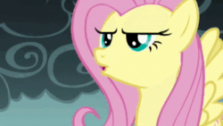Size: 640x360 | Tagged: safe, imported from derpibooru, screencap, basil, fluttershy, dragon, dragonshy, animated, sound, webm