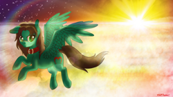 Size: 2016x1134 | Tagged: safe, artist:finalaspex, imported from derpibooru, oc, oc only, oc:malik, pegasus, pony, collar, flying, sky, solo, sunset, wallpaper