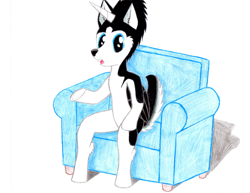 Size: 3300x2550 | Tagged: safe, artist:mrchaosthecunningwlf, artist:ponyvillechaos577, imported from derpibooru, oc, oc only, oc:frost cloud, alicorn, husky, hybrid, alicorn oc, couch, sitting, solo, talking, talking to viewer, traditional art