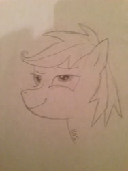 Size: 3264x2448 | Tagged: safe, artist:sonicrainbowboom, imported from derpibooru, scootaloo, pegasus, pony, bust, cool, female, portrait, sketch, smiling, smirk, solo, traditional art