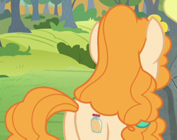 Size: 494x389 | Tagged: safe, imported from derpibooru, screencap, pear butter, earth pony, pony, the perfect pear, butt, cropped, female, mare, plot, solo