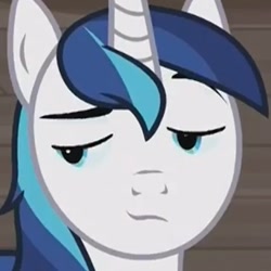 Size: 472x472 | Tagged: safe, imported from derpibooru, screencap, shining armor, pony, unicorn, a flurry of emotions, cropped, cute, shining adorable, smug, solo