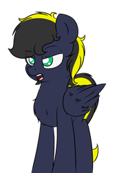 Size: 900x1300 | Tagged: safe, artist:fluttair, imported from derpibooru, oc, oc only, oc:thunderbolt, chest fluff, male, simple background, solo, transparent background