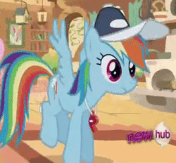 Size: 340x315 | Tagged: safe, imported from derpibooru, screencap, fluttershy, rainbow dash, pony, hurricane fluttershy, all new, animated, baseball cap, cap, coach, female, flying, gif, hat, hub logo, rainbow dashs coaching whistle, shifty eyes, solo focus, text, whistle