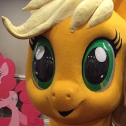 Size: 278x278 | Tagged: safe, imported from derpibooru, applejack, pinkie pie, earth pony, pony, my little pony: the movie, cropped, face of mercy, hascon, irl, photo, solo focus, staring into your soul