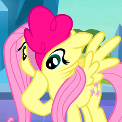 Size: 530x530 | Tagged: safe, edit, edited screencap, imported from derpibooru, screencap, fluttershy, pinkie pie, the crystal empire, cropped, fluttershy suit, pony costume, wat