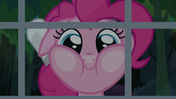 Size: 1920x1080 | Tagged: safe, imported from derpibooru, screencap, pinkie pie, earth pony, pony, daring done?, against glass, female, glass, looking at you, mare, ponk, smiling, solo, squishy cheeks, window