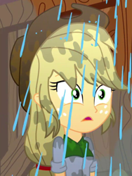 Size: 542x720 | Tagged: safe, imported from derpibooru, screencap, applejack, epic fails (equestria girls), eqg summertime shorts, equestria girls, cropped, female, solo, wet hair