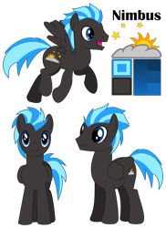 Size: 3000x4116 | Tagged: safe, artist:coppercore, imported from derpibooru, oc, oc only, oc:nimbus, pegasus, pony, cutie mark, male, reference sheet, simple background, stallion, transparent background, vector