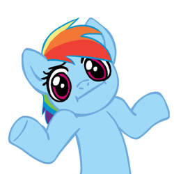 Size: 450x450 | Tagged: safe, imported from derpibooru, rainbow dash, female, looking at you, shrug, shrugpony, simple background, solo, white background