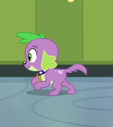 Size: 378x424 | Tagged: safe, imported from derpibooru, screencap, spike, dog, equestria girls, equestria girls (movie), cropped, male, puppy, running, solo, spike the dog