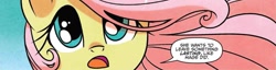 Size: 1065x274 | Tagged: safe, artist:agnesgarbowska, edit, idw, imported from derpibooru, fluttershy, a health of information, spoiler:comic, spoiler:comic58, cropped, cute, flowing mane, looking up, open mouth, shyabetes, speech bubble