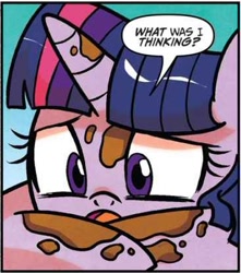 Size: 368x416 | Tagged: safe, artist:agnesgarbowska, edit, idw, imported from derpibooru, twilight sparkle, a health of information, spoiler:comic, spoiler:comic58, cropped, mud, reaction image