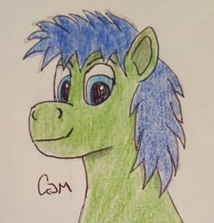 Size: 981x1023 | Tagged: safe, artist:rapidsnap, imported from derpibooru, oc, oc only, oc:rapidsnap, pony, bust, looking at you, portrait, solo, traditional art