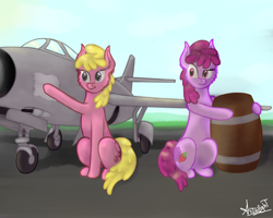 Size: 2500x2000 | Tagged: safe, artist:starlightglummer, imported from derpibooru, berry punch, berryshine, cherry berry, earth pony, pony, background pony, barrel, berry sisters, cleaning, dexterous hooves, duo, duo female, female, high res, mare, plane, siblings, signature, sisters, sitting, wipes, wiping, yak-30