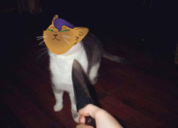 Size: 604x438 | Tagged: safe, artist:stickaroos, edit, imported from derpibooru, capper dapperpaws, cat, my little pony: the movie, :3, irl, knife cat, meme, photo, ponified animal photo, solo