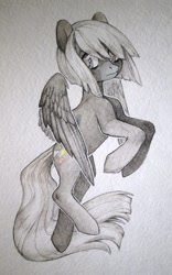 Size: 675x1080 | Tagged: safe, artist:aphphphphp, imported from derpibooru, oc, oc only, pegasus, pony, solo, traditional art, watercolor painting