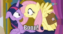 Size: 600x330 | Tagged: safe, imported from derpibooru, screencap, fluttershy, twilight sparkle, alicorn, pony, a health of information, animated, boop, carousel (tv channel), cute, faint, fainting goat, female, gif, image macro, it's super effective, meme, noseboop, shyabetes, twilight sparkle (alicorn)