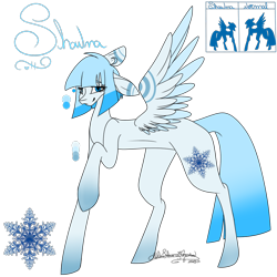 Size: 1000x1000 | Tagged: safe, artist:ohflaming-rainbow, imported from derpibooru, oc, oc only, oc:shawna, pegasus, pony, female, mare, reference sheet, solo