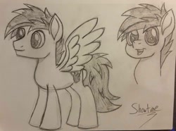 Size: 2048x1526 | Tagged: safe, artist:showtimeandcoal, imported from derpibooru, oc, oc only, oc:kami, pegasus, pony, black and white, bust, colt, grayscale, male, monochrome, movie accurate, pencil, pencil drawing, portrait, request, sketch, solo, stallion, style, traditional art