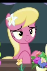 Size: 312x473 | Tagged: safe, imported from derpibooru, screencap, lily, lily valley, it isn't the mane thing about you, smiling