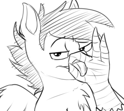 Size: 1085x974 | Tagged: safe, artist:murder, imported from derpibooru, oc, oc only, oc:velvet quill, hippogriff, bust, chest fluff, sketch, solo, talons, tongue out