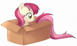 Size: 796x474 | Tagged: safe, artist:viki-niki, imported from derpibooru, roseluck, earth pony, pony, box, commissioner:doom9454, cute, cuteluck, female, mare, pony in a box, pony pet, rosabetes, rosepet, simple background, solo, white background