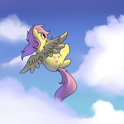 Size: 2000x2000 | Tagged: safe, artist:neuro, imported from derpibooru, fluttershy, cloud, female, flying, solo