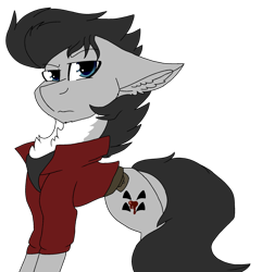 Size: 2045x2117 | Tagged: safe, artist:brokensilence, imported from derpibooru, earth pony, pony, belt, no more heroes, ponified, simple background, skeptical, solo, transparent background, travis touchdown