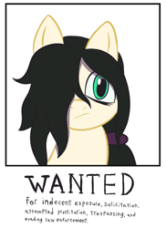 Size: 576x792 | Tagged: safe, artist:scraggleman, imported from derpibooru, oc, oc only, oc:floor bored, earth pony, pony, /mlp/, 4chan, breaking the law, female, indifferent, mare, ponytail, solo, wanted poster
