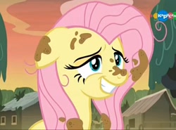 Size: 1376x1018 | Tagged: safe, imported from derpibooru, screencap, fluttershy, pegasus, pony, a health of information, carousel (tv channel), cute, dirty, female, floppy ears, grin, mare, shyabetes, smiling