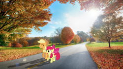 Size: 2048x1152 | Tagged: safe, artist:potato22, imported from derpibooru, apple bloom, applejack, irl, lens flare, photo, ponies in real life, road, standing, summer