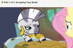 Size: 1920x1270 | Tagged: safe, edit, edited screencap, imported from derpibooru, screencap, fluttershy, zecora, pegasus, pony, zebra, a health of information, bed, discovery family logo, female, implied death, leaves, mare, meme, ponified meme, sick, wikihow, zecora's hut