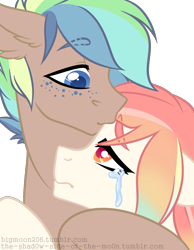 Size: 1400x1800 | Tagged: safe, artist:bigmoon206, imported from derpibooru, oc, oc only, pony, crying, hug, kissing, sad